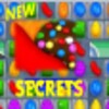 Crush Secrets Guide icon