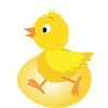 HatchMe icon