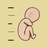Crecimiento Neonatal icon