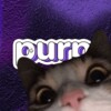 purpアイコン