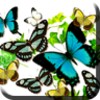 Butterflies in summer icon