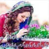 love poetry Urdu Shari,Urdu Poetry 2021 اردو شاعری icon