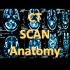 Ruky_CT Scan Anatomyアイコン