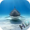 Sharks Video Live Wallpaper icon