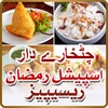 Pakistani Recipes in Urdu icon