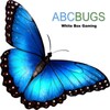 ABC Bugs icon