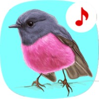 free bird call ringtones for android