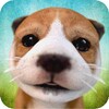 Dog Simulator simgesi