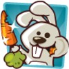 Hungry Bunny icon