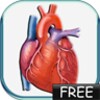 أيقونة Blood Pressure lite