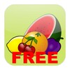 Fruit Slot Casino icon