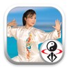 Water Style Kung Fu Tai Chi icon