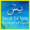 أيقونة Surah yasin