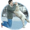 Life Of Snow Dog icon