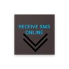 Receive SMS Online icon