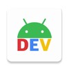 Developer Options icon