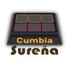 Bateria Cumbia Sureña icon