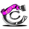 CChecker icon