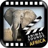 Best African Animals Sound icon