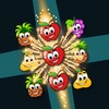 Fruit Dash icon