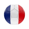 Ligue 1 - Francês icon