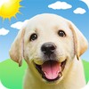 Weather Puppy icon