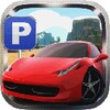 Super Toon Parking Rally 2015 icon