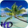Beach HD Video Live Wallpaper icon