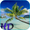 Икона Beach HD Video Live Wallpaper