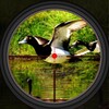 Duck Hunting 2019 icon