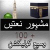 Naat Book urdu icon