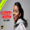 Marwa loud sans Internet icon