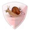 SlowDNS icon