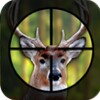 Deer Hunting in Forest icon