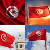 Tunisia Flag Wallpaper: Flags, icon