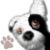 Icon von Oh My Dog