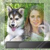 Dog Photo Frames icon