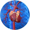 أيقونة Cardiovascular System