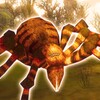 Hideous Spider Simulator 图标