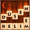 Düşen! Kelime Oyunu icon