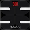 Hesley icon