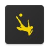 ProSoccerData icon