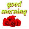 Good Morning Animated Stickers icon