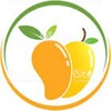 Mango Browser icon