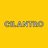 Cilantro icon