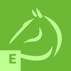 Equestrian simgesi