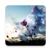 Icono de Love and sky