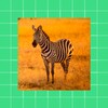 Zebra Wallpapers simgesi