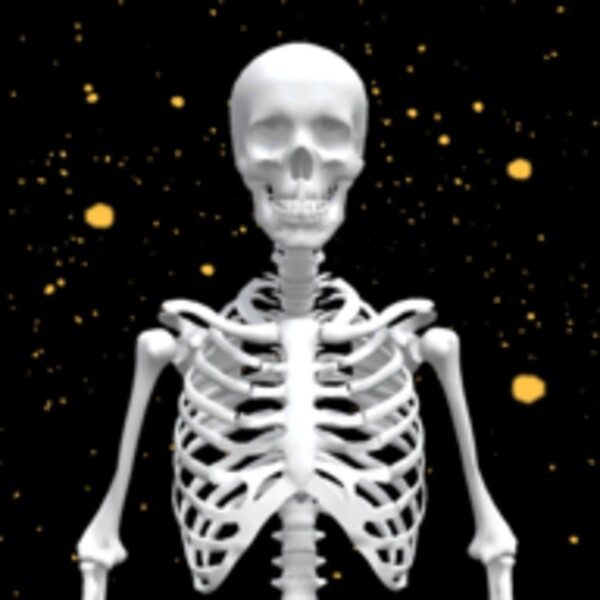 Assemble Skeleton for Android - Download the APK from Uptodown