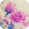 Icono de Regal Roses
